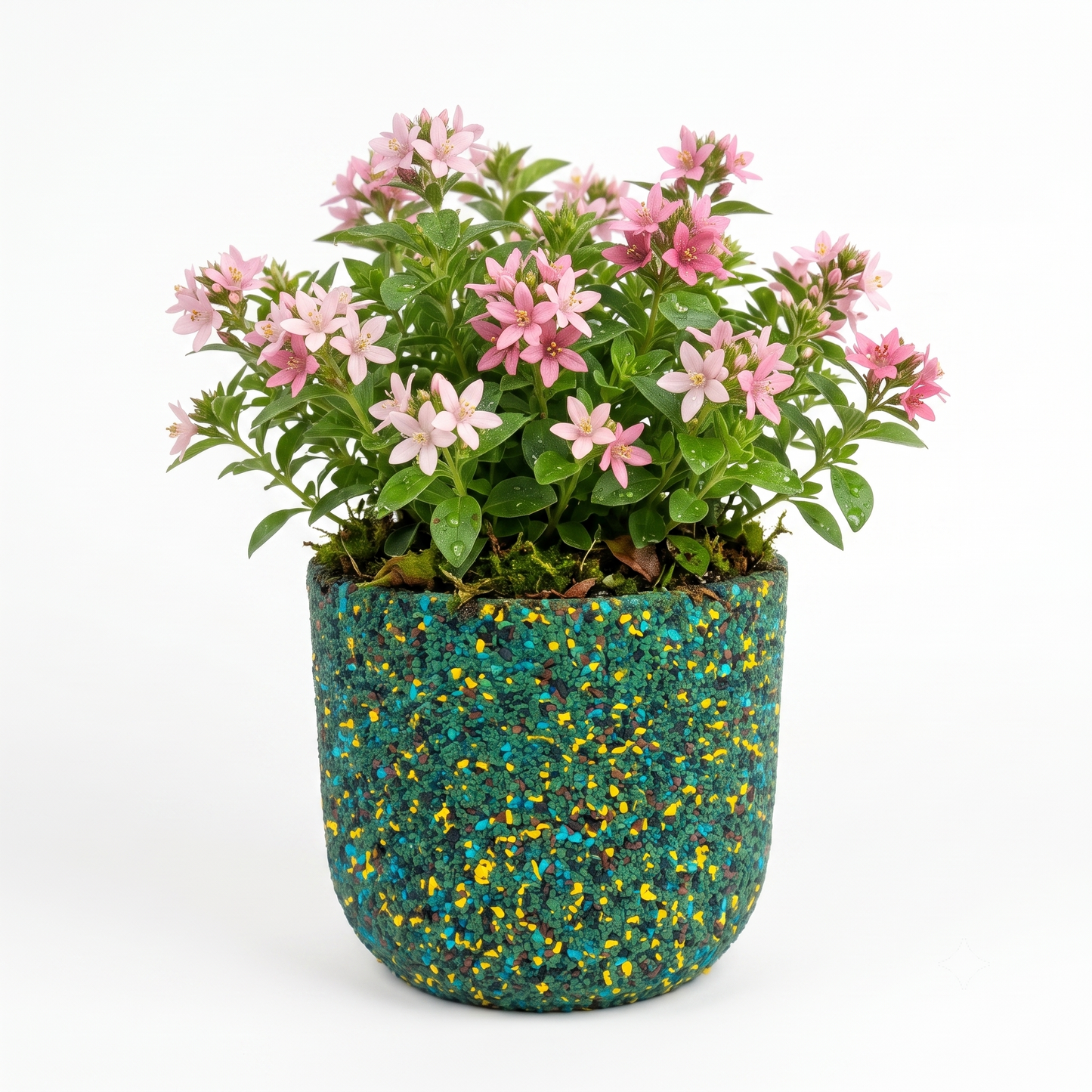 Rectangular Pot