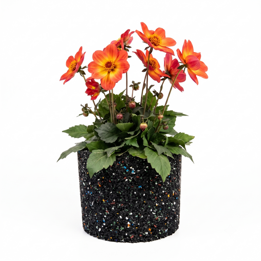 Vaso cilindrico nero in gomma riciclata ambientato in uno spazio interno