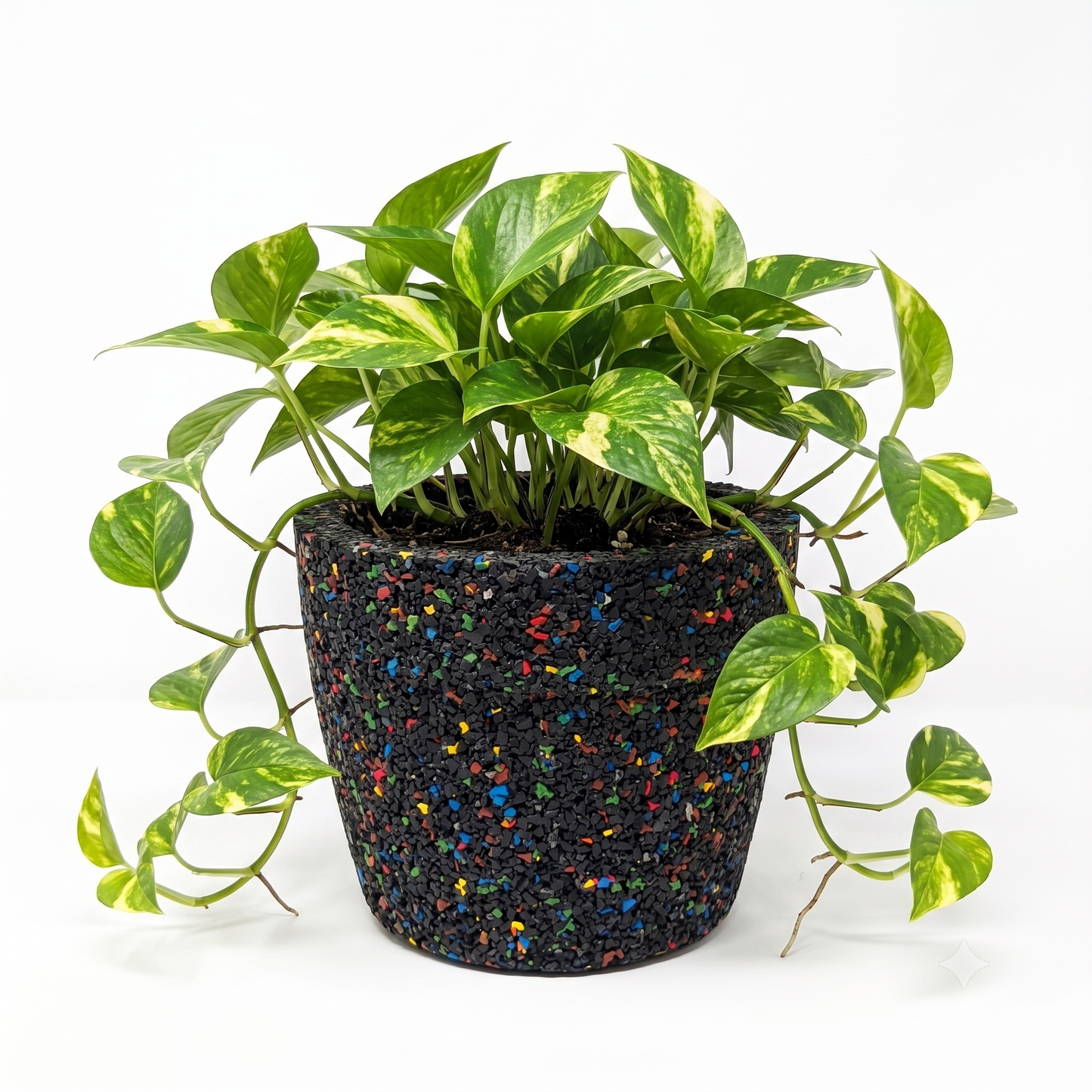Rectangular Pot