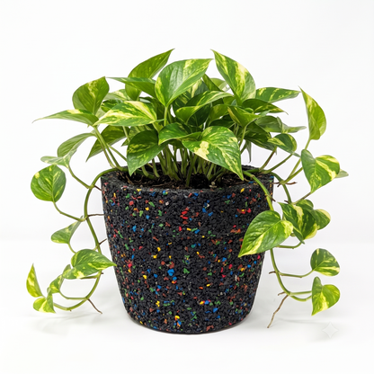 Rectangular Pot